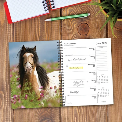 What Horses Teach Us Engagement 2025 Calendar