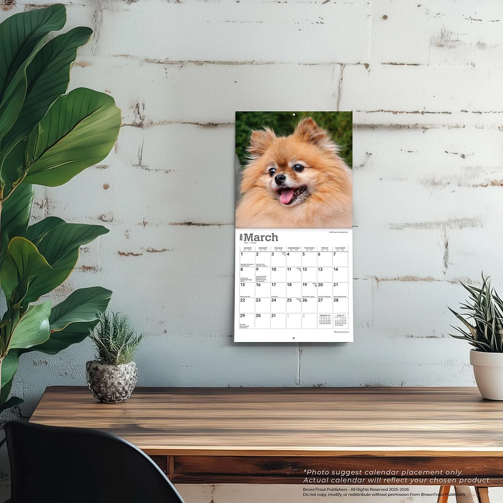 Pomeranians 2026 Mini Calendar