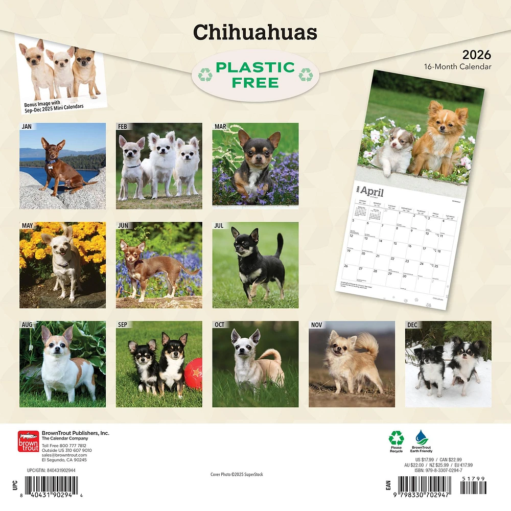 Chihuahuas 2026 Wall Calendar