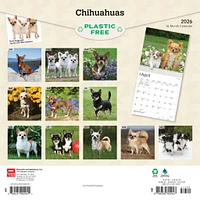 Chihuahuas 2026 Wall Calendar