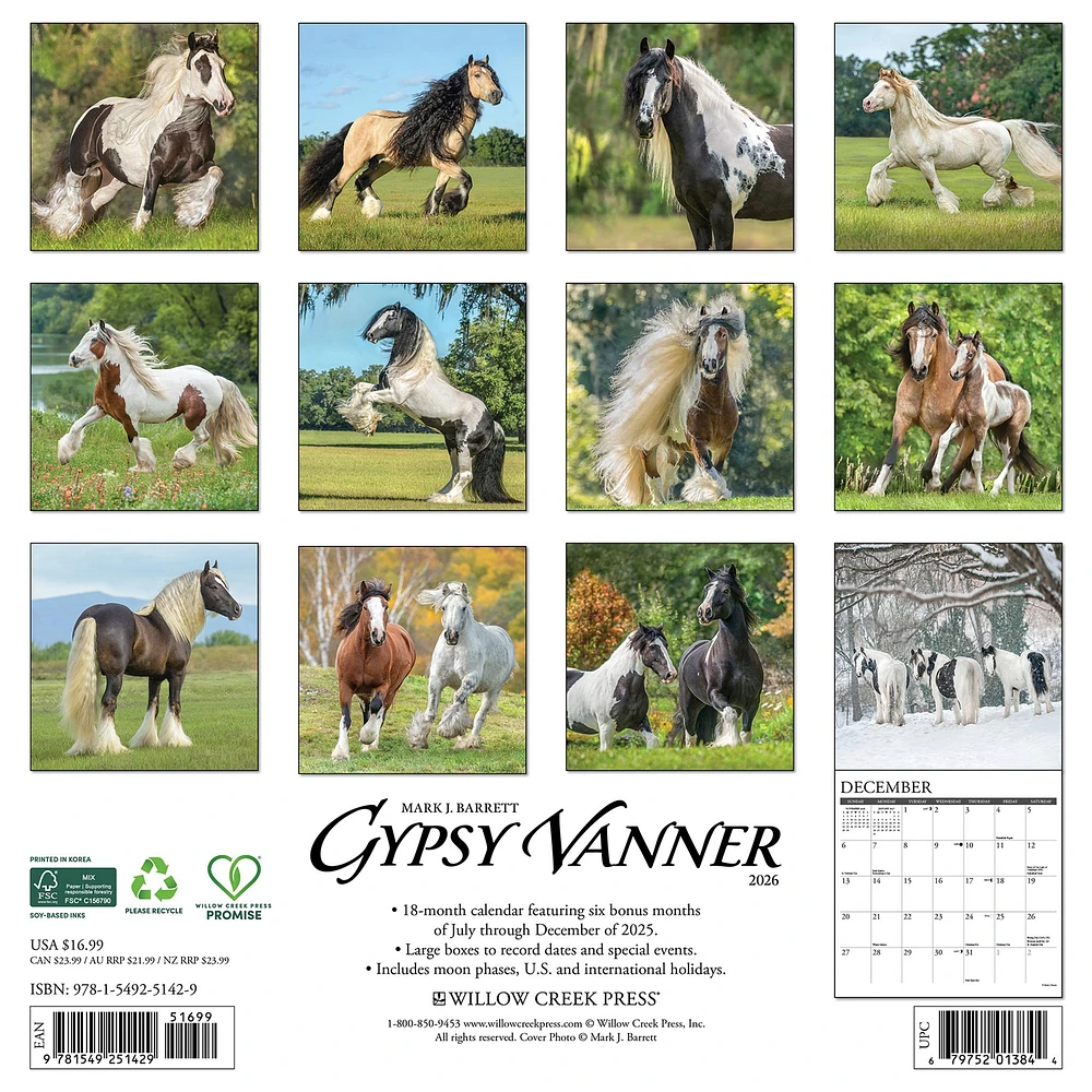 Gypsy Vanner Horse 2026 Wall Calendar