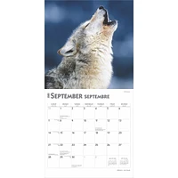 Wolves Les Loups Wall 2025 Calendar (French)