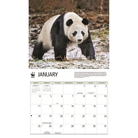World Wildlife Fund Giant Pandas  2026 Wall Calendar