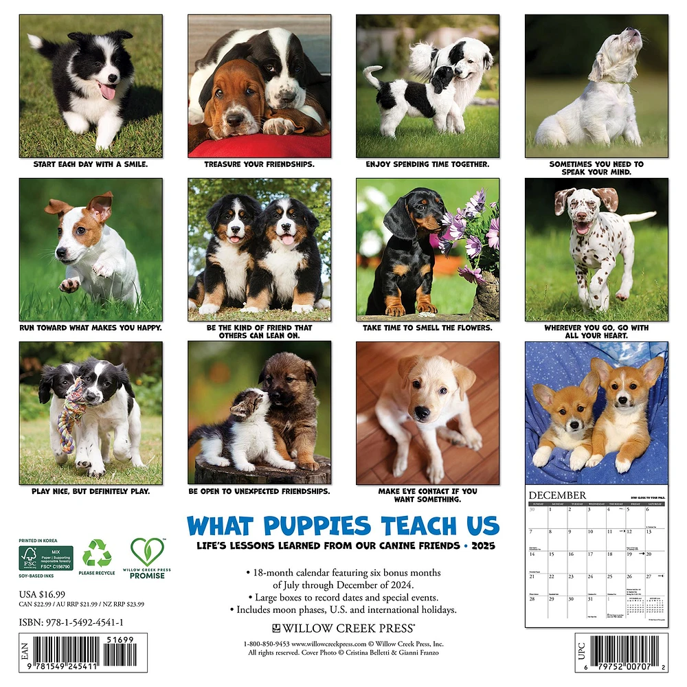 What Puppies Teach Us Wall 2025 Calendar