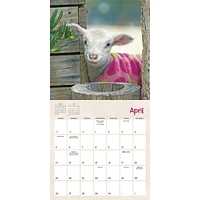 Lambies In Jammies And Goats In Coats 2026 Mini Calendar