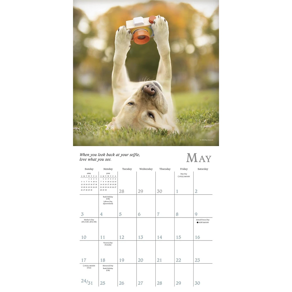 Dogma 2026 Mini Calendar