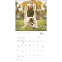 Dogma 2026 Mini Calendar
