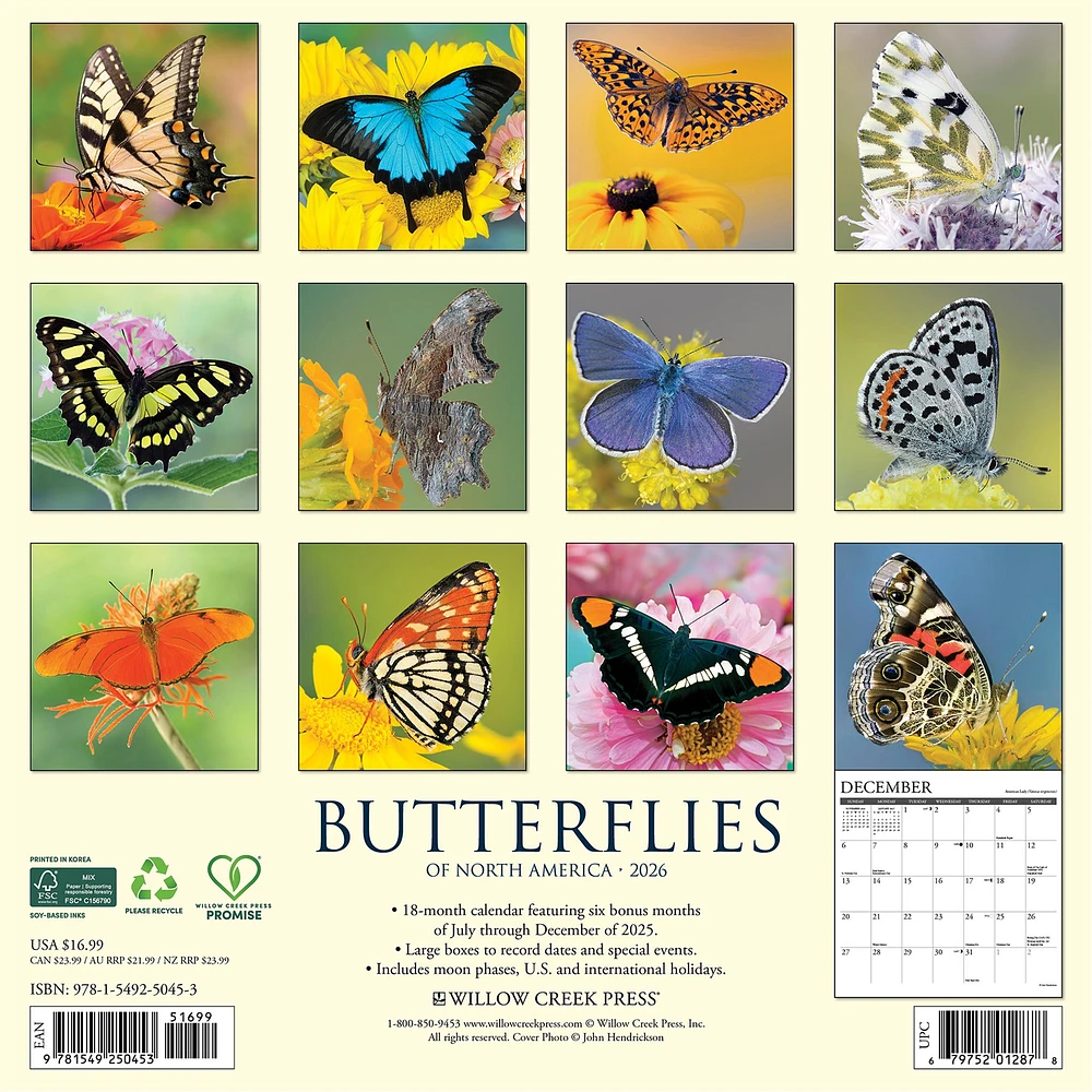 Butterflies Of North America 2026 Wall Calendar