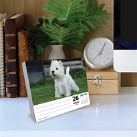 Just Westies 2026 Box Calendar - Online Exclusive