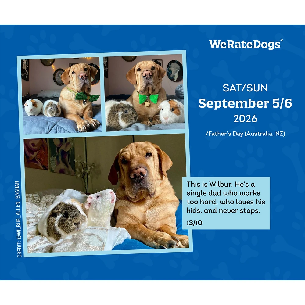 Weratedogs 2026 Box Calendar