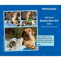 Weratedogs 2026 Box Calendar