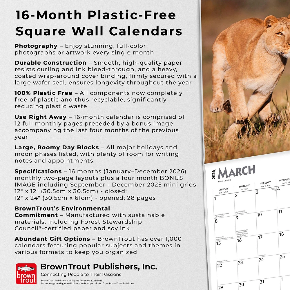 Lions 2026 Wall Calendar - Online Exclusive