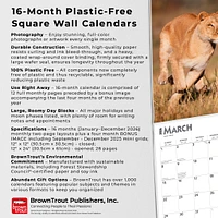 Lions 2026 Wall Calendar - Online Exclusive