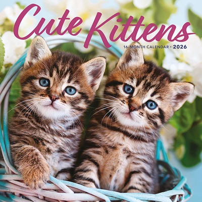 Cute Kittens 2026 Wall Calendar