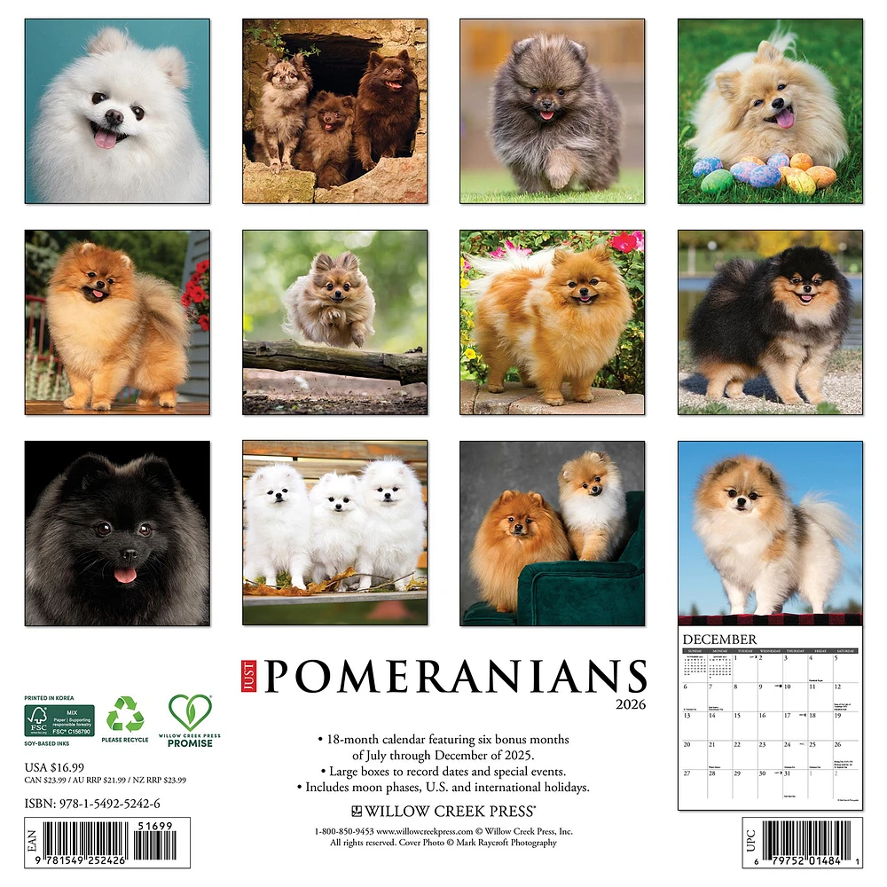 Just Pomeranians 2026 Wall Calendar