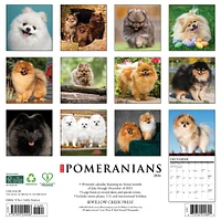 Just Pomeranians 2026 Wall Calendar