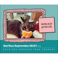 Cats Are Cheaper Than Therapy 2026 Box Calendar - Online Exclusive