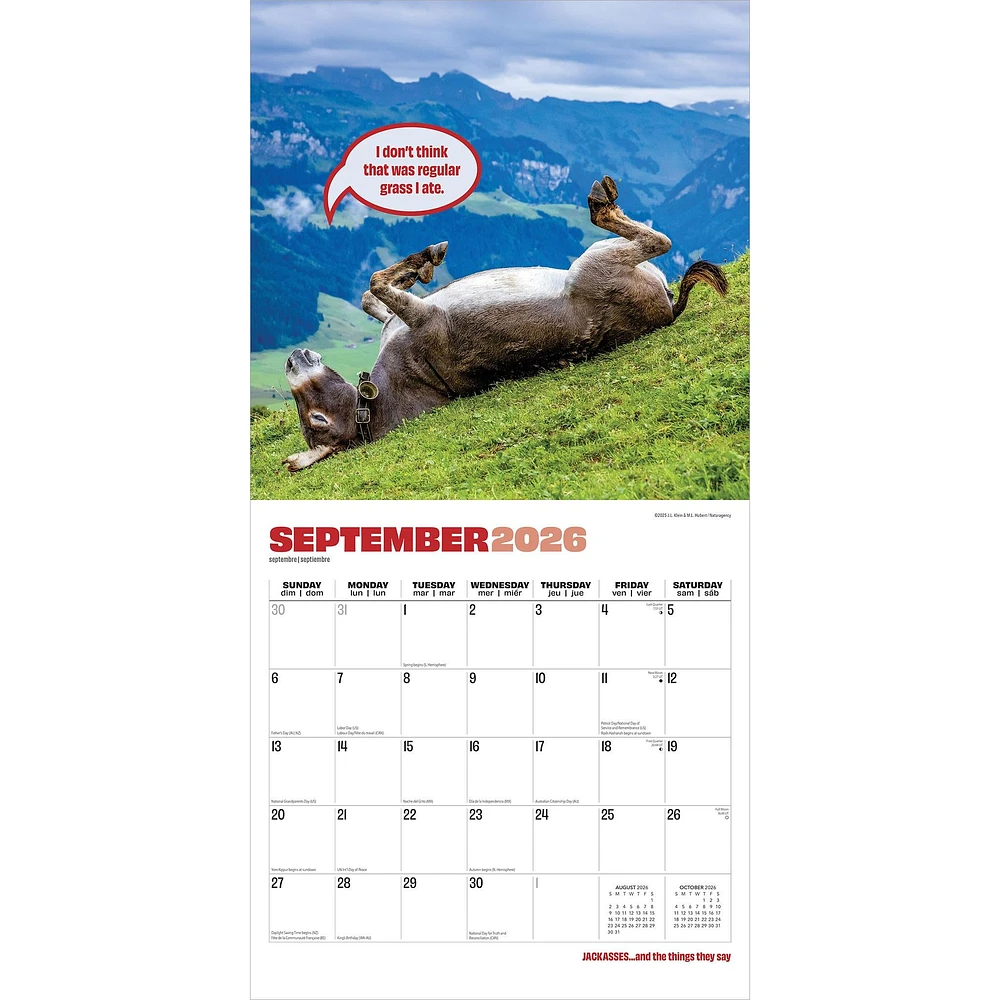 Jackasses 2026 Wall Calendar
