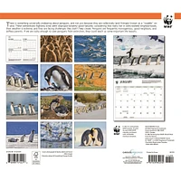 World Wildlife Fund Penguins 2026 Wall Calendar