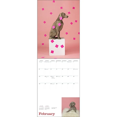 William Wegman Favorite Models Wall  2026 Calendar