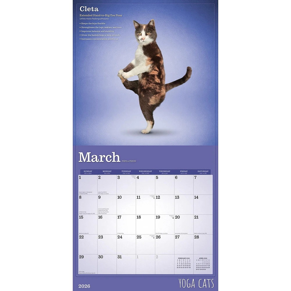 Yoga Cats 2026 Wall Calendar