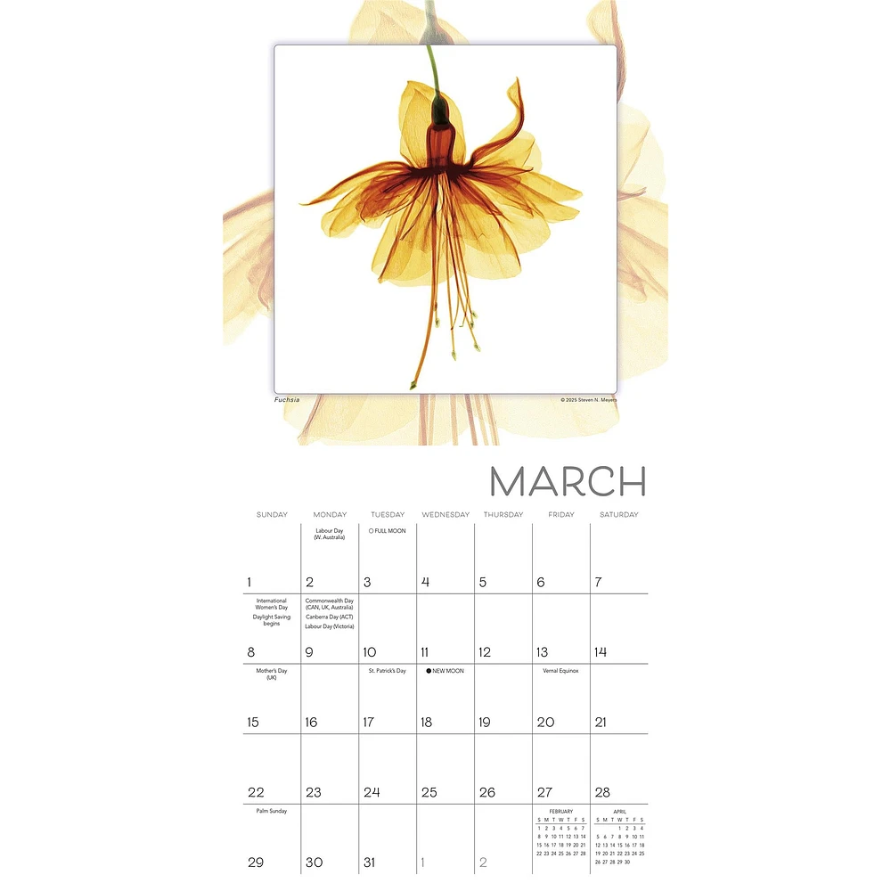 Flower Spirits 2026 Mini Calendar