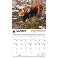 World Wildlife Fund Red Pandas  2026 Wall Calendar