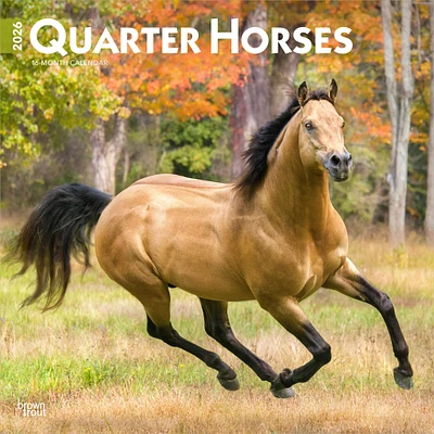 Quarter Horses 2026 Wall Calendar - Online Exclusive