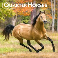 Quarter Horses 2026 Wall Calendar - Online Exclusive