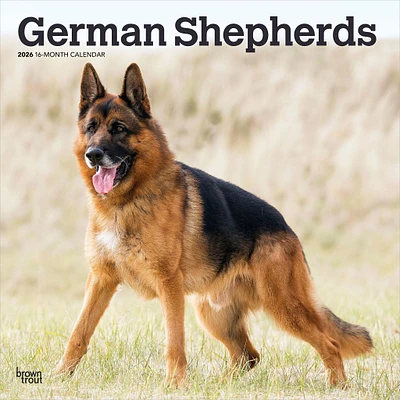 German Shepherds 2026 Wall Calendar - Online Exclusive