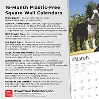 Boston Terriers Wall 2025 Calendar