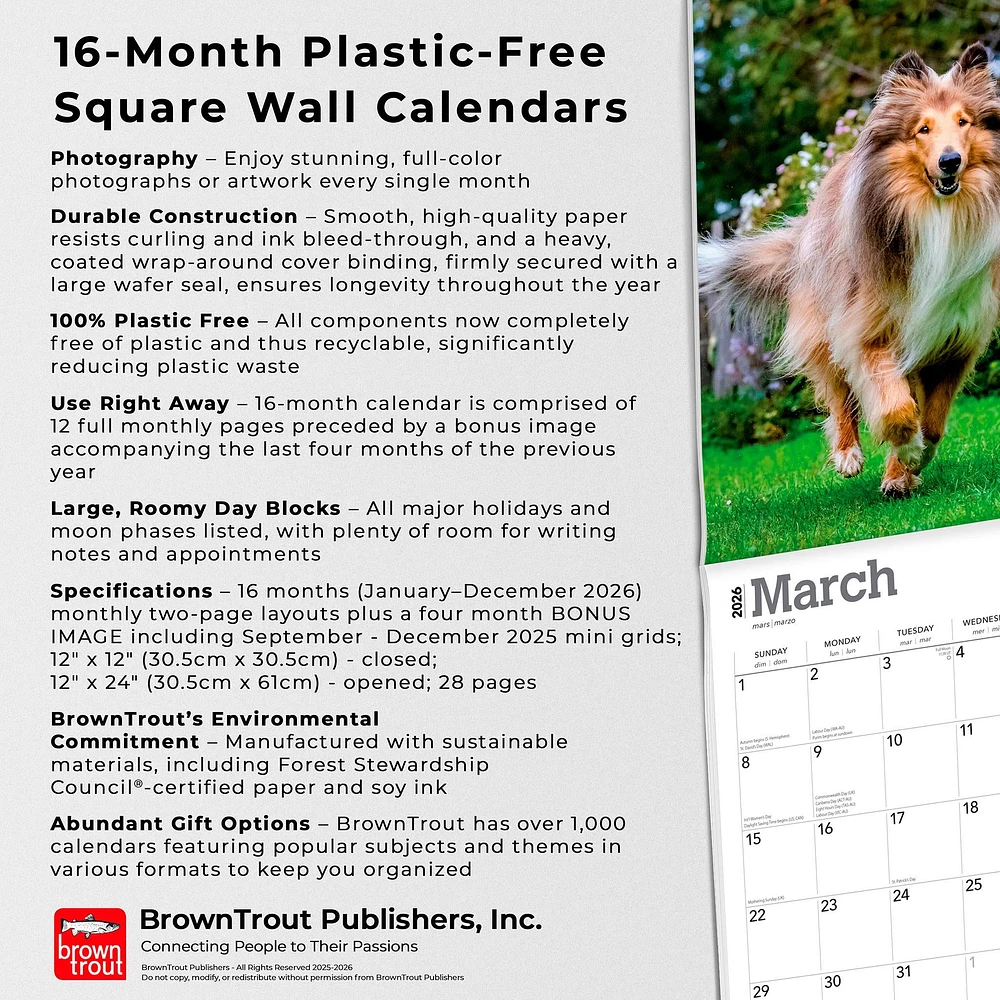 Collies 2026 Wall Calendar