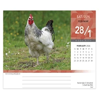 Chickens 2026 Box Calendar - Online Exclusive