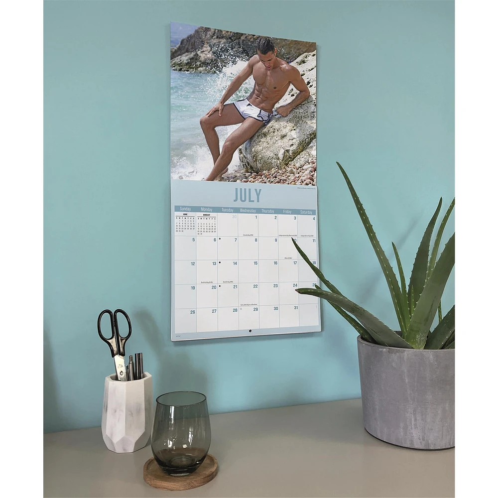 Hunks In Trunks 2026 Wall Calendar