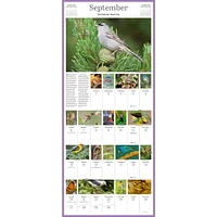 Audubon Songbirds 365 2026 Wall Calendar