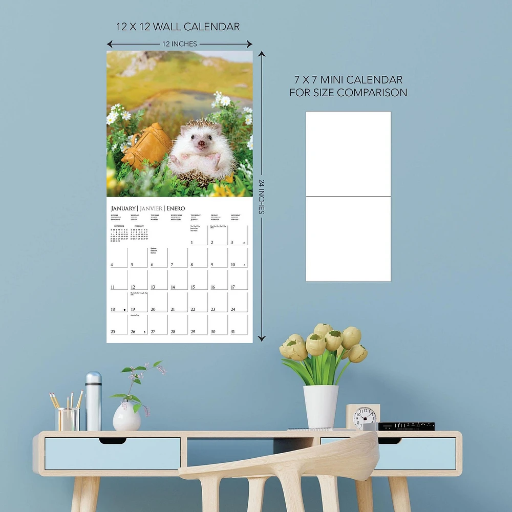 Happiest Hedgehogs 2026 Wall Calendar - Online Exclusive