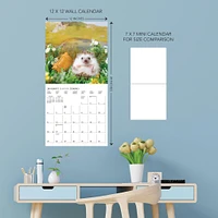 Happiest Hedgehogs 2026 Wall Calendar - Online Exclusive