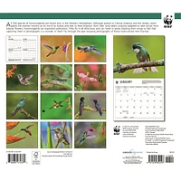 World Wildlife Fund Hummingbirds 2026 Wall Calendar