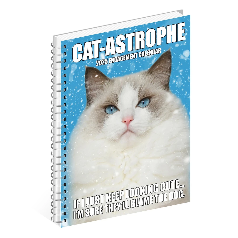 Catastrophe Engagement 2025 Calendar