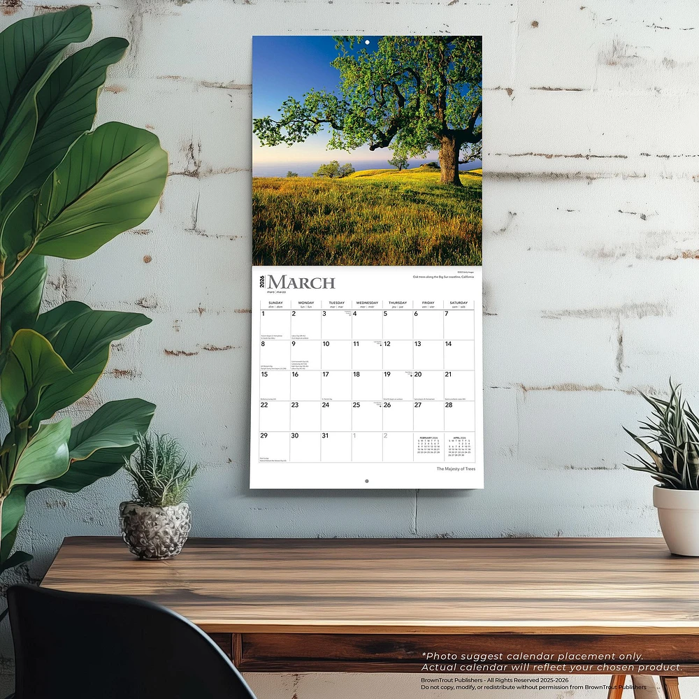 Majesty Of Trees 2026 Wall Calendar - Online Exclusive