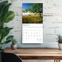 Majesty Of Trees 2026 Wall Calendar - Online Exclusive