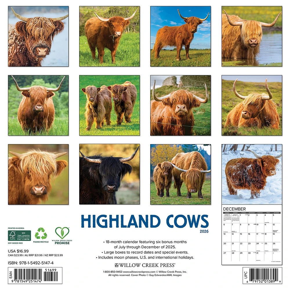 Highland Cows 2026 Wall Calendar - Online Exclusive