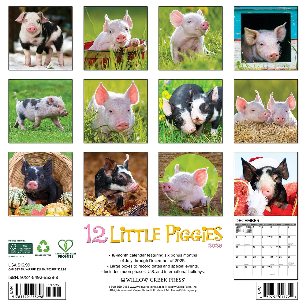 12 Little Piggies 2026 Wall Calendar - Online Exclusive
