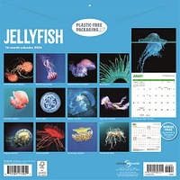 Jellyfish 2026 Wall Calendar