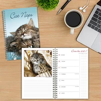 Cat Naps 2026 Engagement Calendar