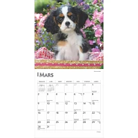 Chiots Mini 2025 Calendar (French)