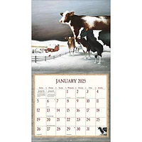 Cows Cows Cows Special Edition with Print Wall 2025 Calendar