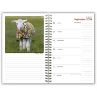 Lambies In Jammies And Goats In Coats Engagement 2025 Calendar - Online Exclusive