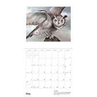Owls Jeannine Chappell 2026 Wall Calendar