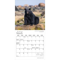 Canadas West Coast 2026 Mini Calendar - Online Exclusive